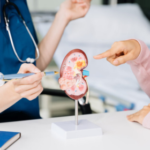 Nephrologist In Bangalore